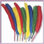 Quill Feathers Quill Feathers